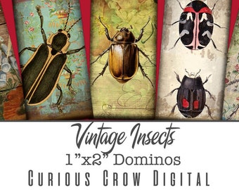 Vintage Insects 1 x 2 inch 25mmx50mm Domino Digital Collage Sheet -  INSTANT Printable Download - Jewelry, Scrapbook, Pendants