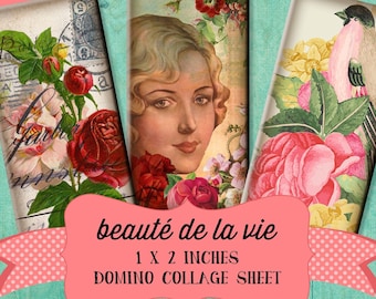 Vintage French Variety 1 x 2 inch Domino Digital Collage Sheet - beauté de la vie Printable Download - Jewelry, Scrapbook, Pendants