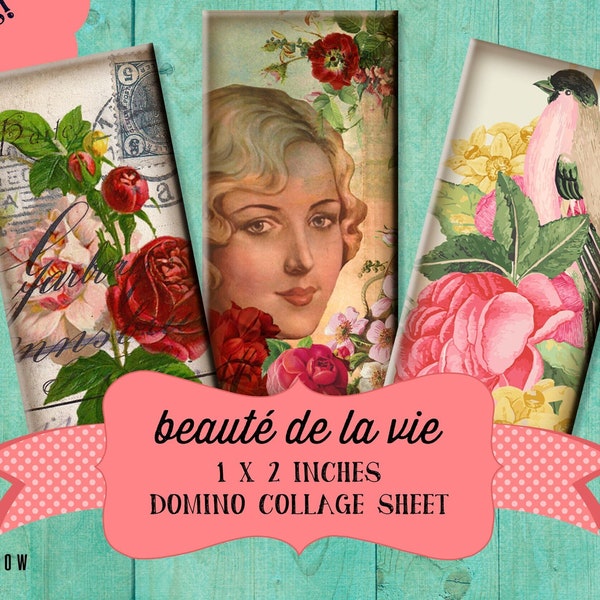 Vintage French Variety 1 x 2 inch Domino Digital Collage Sheet - beauté de la vie Printable Download - Jewelry, Scrapbook, Pendants