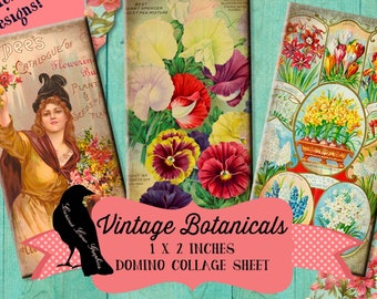 Vintage Botanical & Seed Catalogue Domino Digital Collage Sheet 1 x 2 inches INSTANT Printable Download - Jewelry, Scrapbook, Pendants