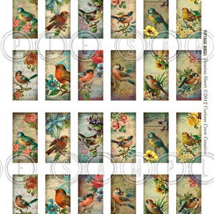 Vintage Birds 1 x 2 inch Domino Digital Collage Sheet INSTANT Printable Download Jewelry, Scrapbook, Pendants image 2