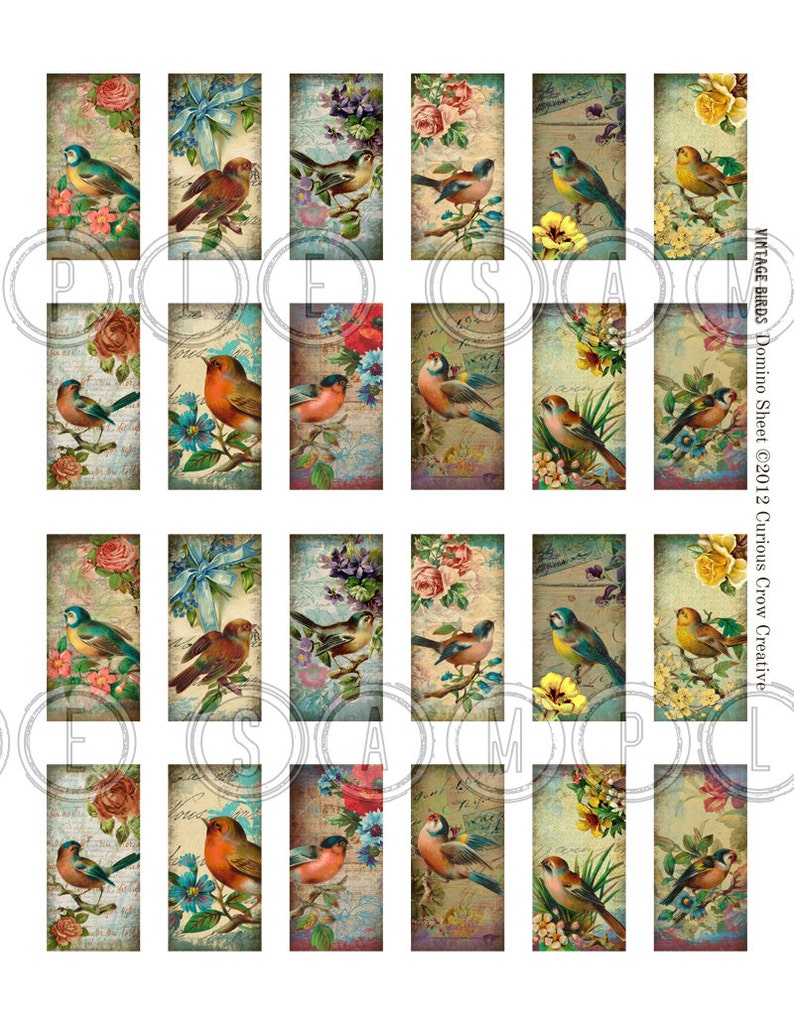 Vintage Birds 1 x 2 inch Domino Digital Collage Sheet INSTANT Printable Download Jewelry, Scrapbook, Pendants image 2