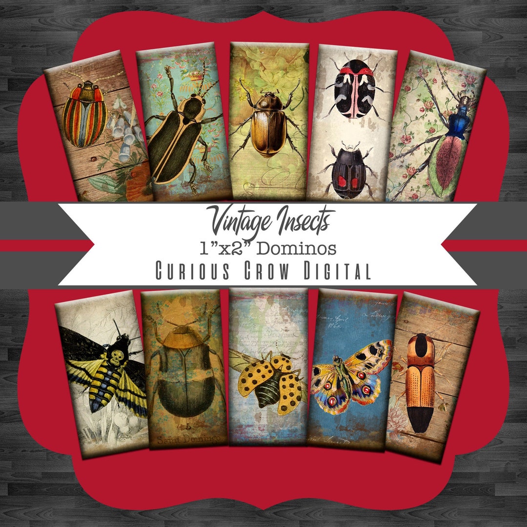 Vintage Insects 1 X 2 Inch 25mmx50mm Domino Digital Collage Sheet ...
