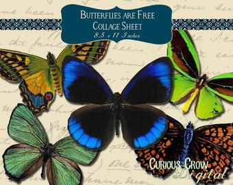 Butterflies are Free Digital Collage Sheet - INSTANT Printable Download