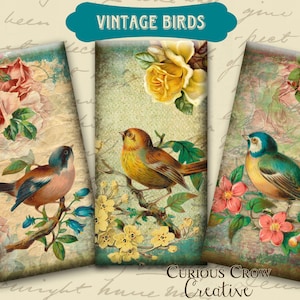 Vintage Birds 1 x 2 inch Domino Digital Collage Sheet - INSTANT Printable Download - Jewelry, Scrapbook, Pendants