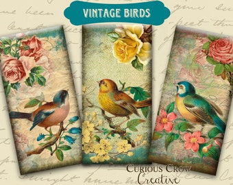 Vintage Birds 1 x 2 inch Domino Digital Collage Sheet - INSTANT Printable Download - Jewelry, Scrapbook, Pendants