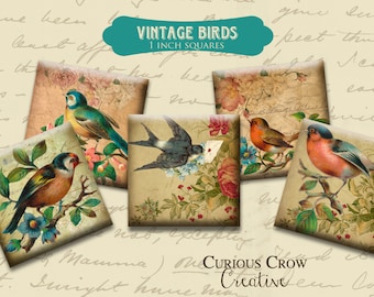 Vintage Birds 1 x 1 inch Squares Digital Collage Sheet -  INSTANT Printable Download - Jewelry, Scrapbook, Pendants