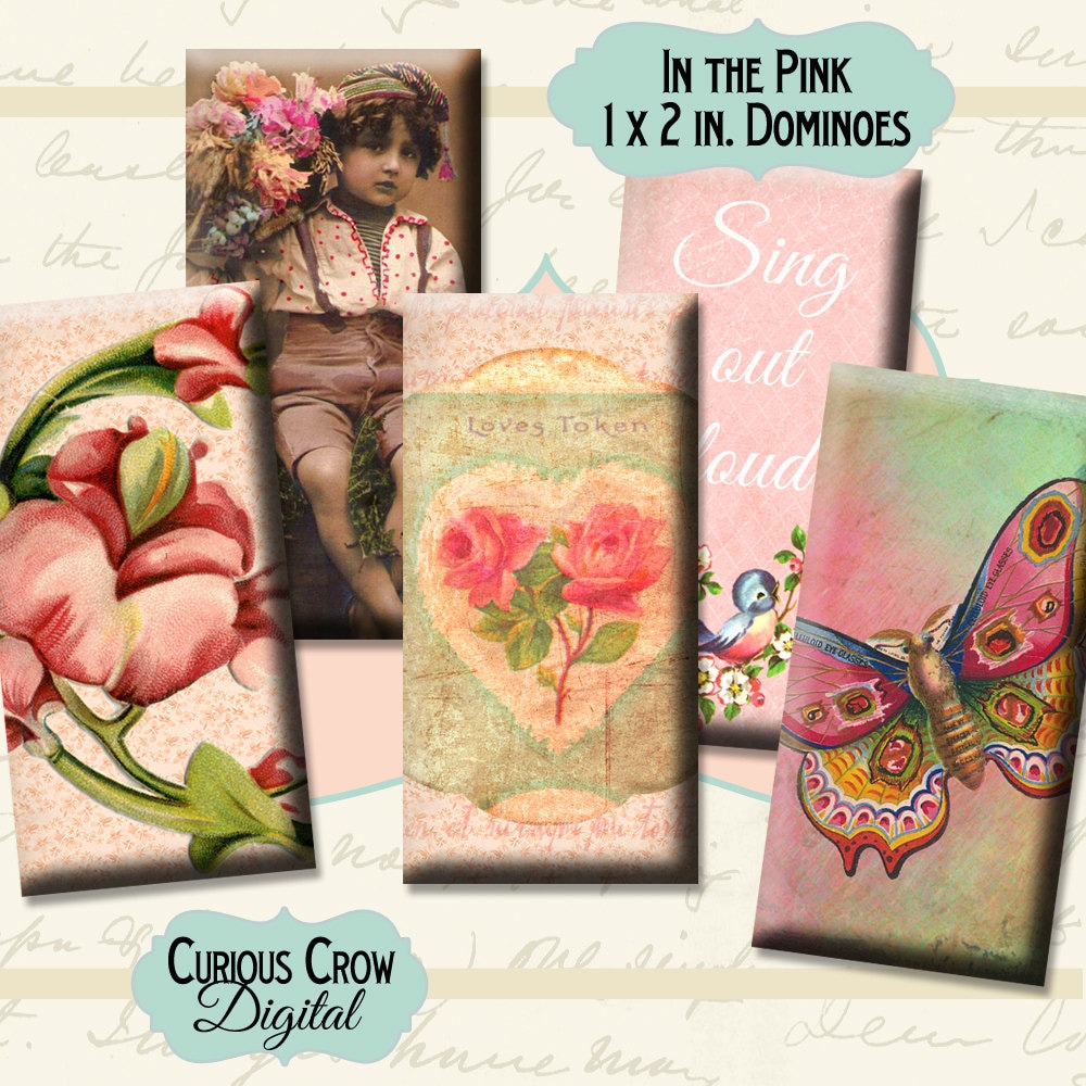 Vintage Variety of Pink Designs 1 X 2 Inch Domino Digital Collage Sheet ...