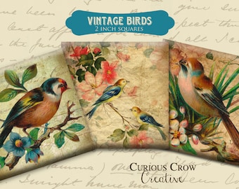 Vintage Birds 2 Inch 50mm Squares Digital Collage Sheet INSTANT Printable Download - Jewelry, Scrapbook, Pendants