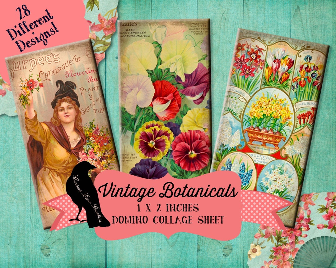 Vintage Botanical & Seed Catalogue Domino Digital Collage Sheet 1 X 2 ...