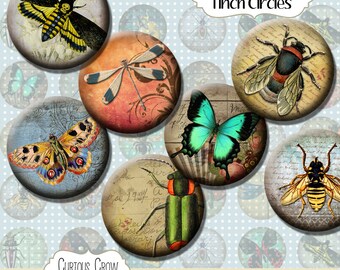 Vintage Insects 1 inch (25mm) Circles Rounds Digital Collage Sheet -  INSTANT Download - Bottle cap Pendant Jewelry - Printable Download