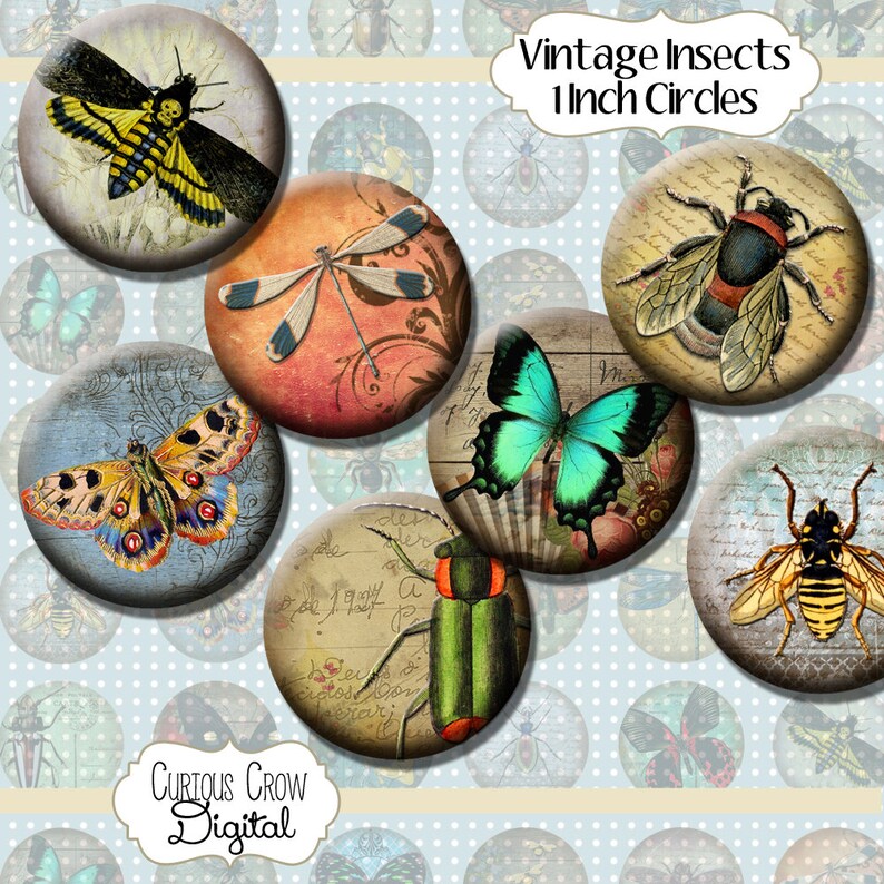 Vintage Insects 1 Inch (25mm) Circles Rounds Digital Collage Sheet ...