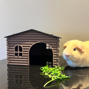 Può includere: Una casetta marrone per porcellini d'India in stile capanna di tronchi, con un ingresso ad arco e piccole finestre. Un porcellino d'India di colore chiaro è accanto alla casa, con un piccolo mucchio di verdure a foglia verde davanti alla casa.