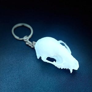 May include: A white, 3D-printed keychain featuring a detailed animal skull. The skull is attached to a silver-colored chain and keyring. The background is a dark blue, creating a contrast with the white skull.