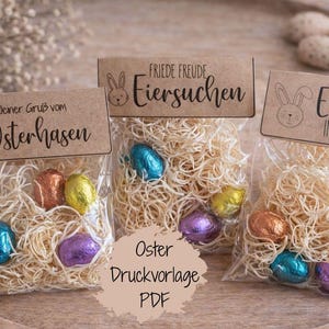 Modello stampabile per la chiusura di sacchetti pasquali (PDF) | Regalo di Pasqua fai da te | Modello stampabile | Regalo di Pasqua | Idea regalo