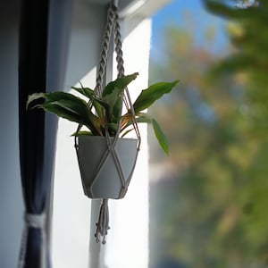 Può includere: Una piccola pianta verde con foglie appuntite in un vaso di ceramica bianca opaca, sospesa da un supporto in corda macramè beige con sezioni intrecciate e una nappa annodata sul fondo, appesa davanti a una finestra.
