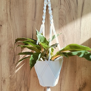 May include: A white ceramic plant pot held by a white macrame hanger with knotted patterns and small wooden beads. The hanger is suspended from a circular wooden ring at the top and features a decorative tassel at the bottom, containing a green plant.