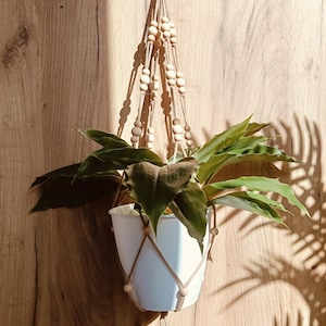 May include: A white plant pot held by a beige macrame hanger featuring natural wooden beads. The hanger consists of knotted cord sections that support the pot, with a loop at the top for suspension. A green leafy plant is inside the white pot.