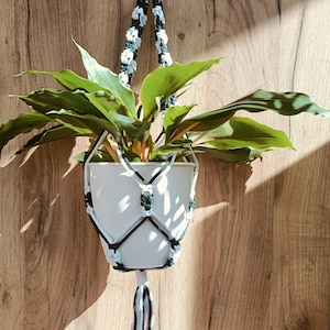 May include: A white plastic plant pot held by a macrame hanger made of black and white cord. The hanger features a knotted net design with a tassel at the bottom. A green leafy plant is potted inside the container, which is suspended by the cord.
