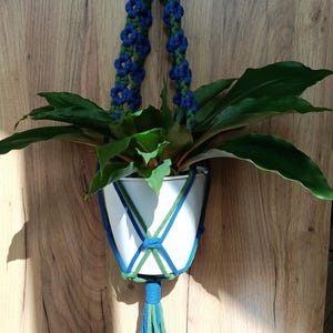 May include: A white plant pot held by a blue and green macrame hanger. The hanger features a knotted design with a tassel at the bottom and a long strap with flower-like knots. A green leafy plant is potted inside the white container.