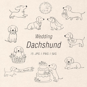 Op de afbeelding: Een verzameling zwarte lijntekeningen met teckels in trouwkleding, waaronder honden met vlinderdasjes, sluiers, bloemenmanden en een drielaagse taart. De tekst luidt Wedding Dachshund 15 JPG | PNG | SVG.
