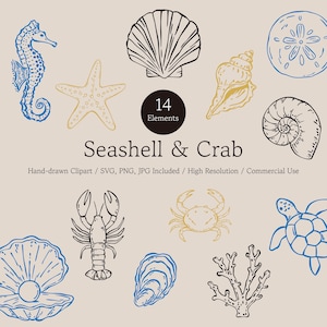 May include: A collection of 14 hand-drawn marine life illustrations including a seahorse, starfish, seashells, crab, lobster, sea turtle, and coral. The text reads 14 Elements, Seashell & Crab, Hand-drawn Clipart, SVG, PNG, JPG Included, High Resolution, Commercial Use.
