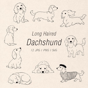 May include: A collection of black line art illustrations featuring long-haired dachshunds in various poses, including sitting, running, and sleeping. The text reads Long Haired Dachshund 12 JPG | PNG | SVG, presented on a light beige background.