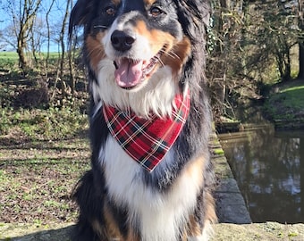 Bandana para perro - Cuadros escoceses rojos - Cierre a presión.