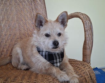 Bandana para perro - Cuadros escoceses en blanco y negro - Cierre a presión.