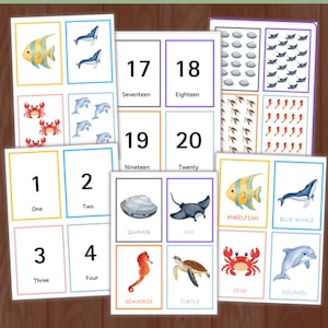 Puede incluir: Juego de tarjetas didácticas para niños con animales marinos y números. Las tarjetas muestran ilustraciones coloridas de la vida marina, incluidos peces, ballenas y cangrejos, junto con representaciones numéricas y palabras numéricas. El texto dice "Ocean Animals 'Triple Match' Number Kit".