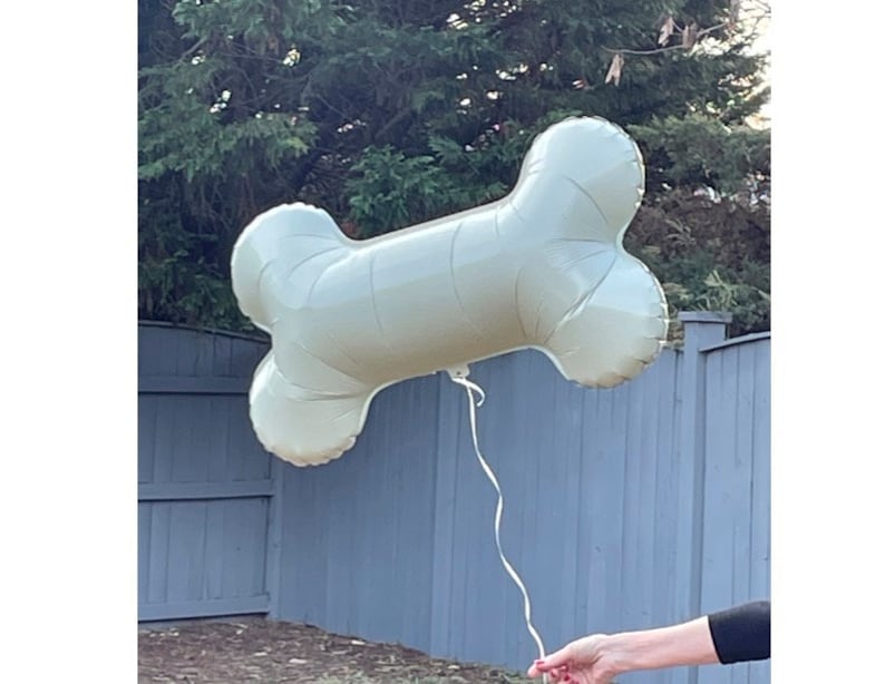May include: A large, light green bone-shaped balloon floats in the air, held by a thin white string. The balloon is inflated and appears to be made of a shiny material. The background includes a wooden fence and green foliage.