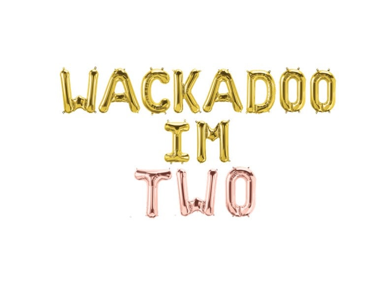 Wackadoo Custom Name is Two Bluey Balloon Banner Bluey Themed