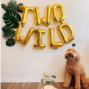 TWO WILD Balloons Two Wild Letters Air Fill only Two Wild Banner 2nd Birthday Party Safari Party Zoo Animal Decoration image 4