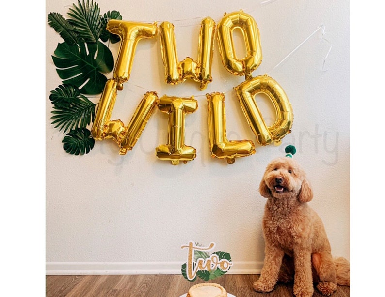 TWO WILD Balloons Two Wild Letters Air Fill only Two Wild Banner 2nd Birthday Party Safari Party Zoo Animal Decoration image 4