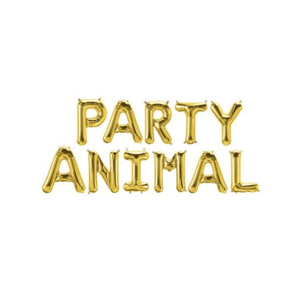 Party Animal Balloons Party Animal Banner Party Animals Mylar Letters Safari Zoo Safari Birthday Decorations Jungle