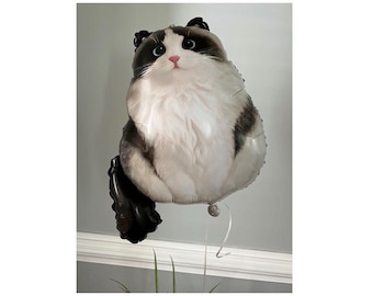 Cat Balloon Ragdoll Cat Mylar Foil Balloon Persian Cat Themed Cat Birthday Party