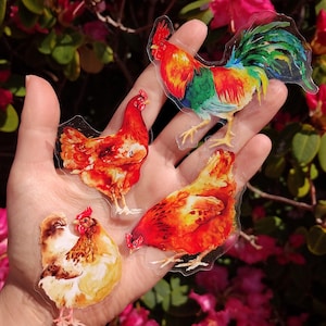 Könnte beinhalten: Drei transparente Aufkleber mit Illustrationen von Hühnern im Aquarellstil. Ein Aufkleber zeigt einen Hahn mit leuchtend rotem, gelbem und grünem Gefieder. Zwei weitere Aufkleber zeigen Hennen in Orange-, Rot- und Brauntönen mit detaillierten Federn.