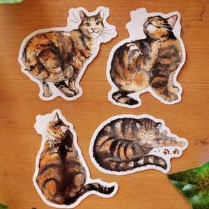 Peut inclure: Quatre illustrations &agrave; l'aquarelle de chats tigr&eacute;s sur fond blanc. Les chats sont dans diff&eacute;rentes poses, notamment assis, se toilettant et dormant. Les illustrations sont de style r&eacute;aliste et pr&eacute;sentent des marques d&eacute;taill&eacute;es.