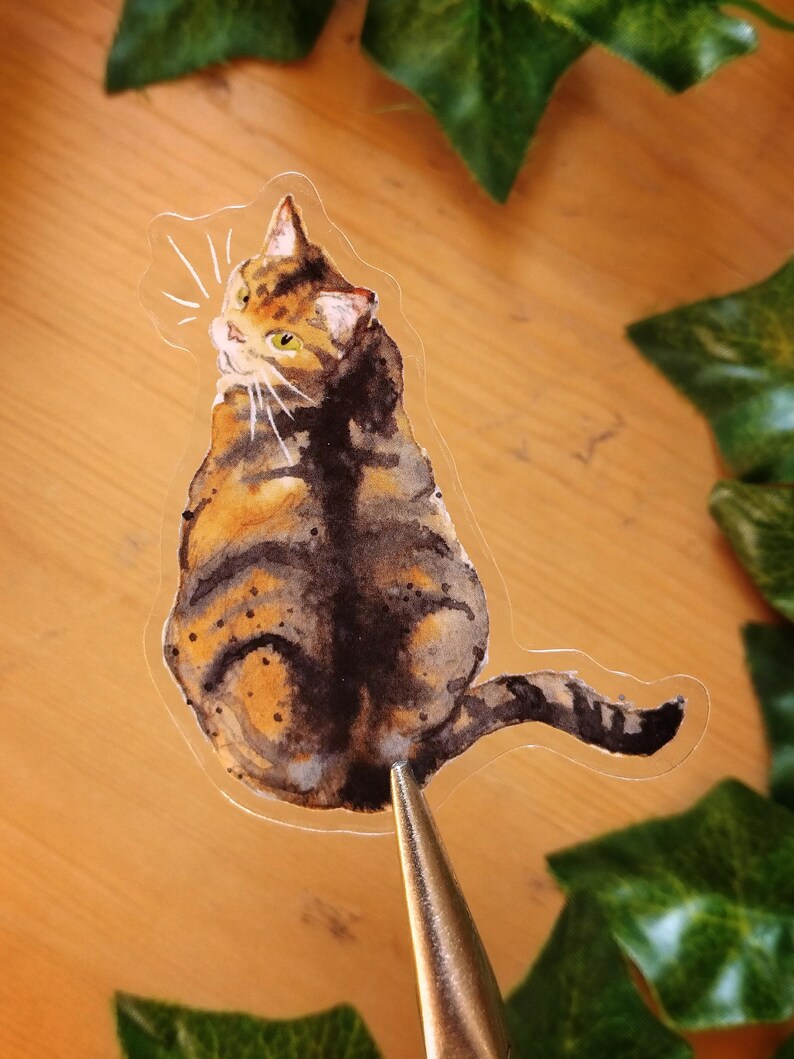 Peut inclure: Une illustration &agrave; l'aquarelle d'un chat tigr&eacute; assis sur un autocollant transparent. Le chat regarde par-dessus son &eacute;paule avec une expression curieuse. Le chat a une fourrure brune, noire et orange.