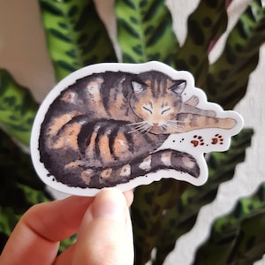 Sleepy Tabby Cat 7.5cm Vinyl Sticker - watercolour cosy cute brown tabby cat with pawprints