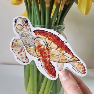 Puede incluir: Una ilustración de acuarela de una tortuga marina con un caparazón rojo y naranja. La tortuga está nadando en un fondo blanco con algunas salpicaduras de acuarela roja. La pegatina está sobre un fondo blanco y tiene el sitio web "amyholliday.co.uk" impreso en la esquina inferior derecha.