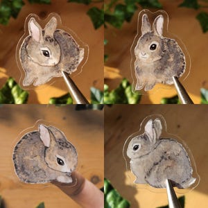 May include: Four clear stickers featuring illustrations of brown rabbits in different poses. The stickers are on a wooden surface.