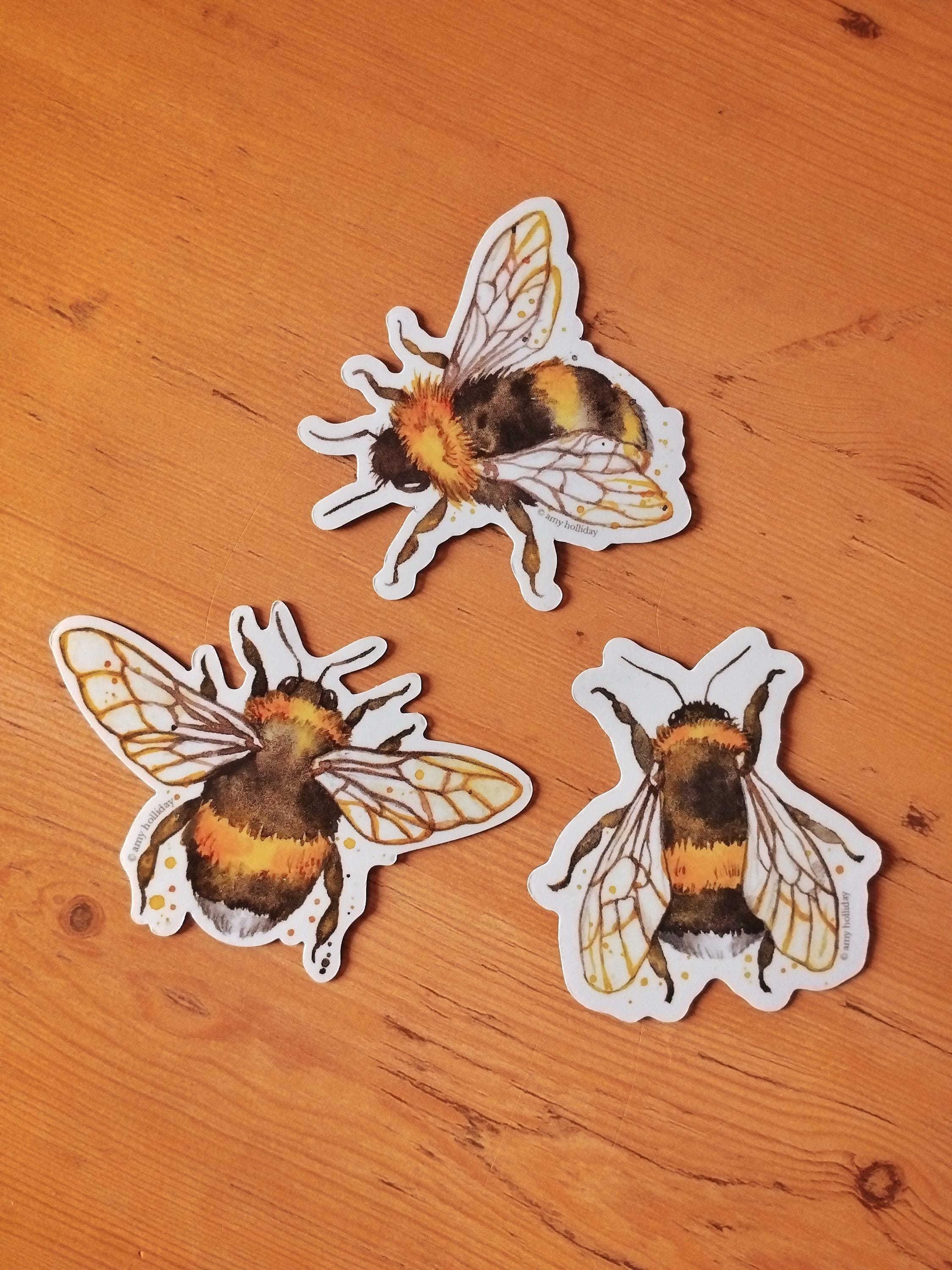 Bee Art Magnets - Set of 3 SECONDS Watercolour Fluffy Bumblebee