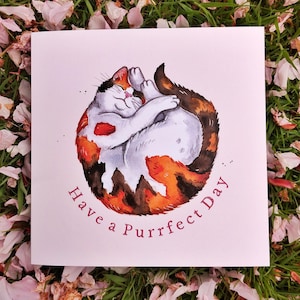 Passez une journée parfaite | Carte de voeux de chat calicot | occasion d'anniversaire