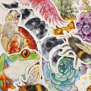 Pode incluir: Uma coleção de adesivos de aquarela coloridos com uma variedade de designs inspirados na natureza, incluindo um sapo, uma tartaruga, uma abelha, um pássaro, uma suculenta e uma lua com estrelas.