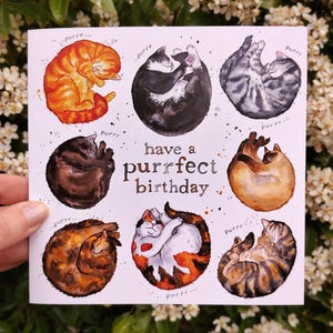 Have a Purrfect Birthday | Cute Cozy Sleepy Cat Breeds Lover greetings card | birthday occasion