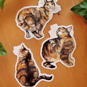 Peut inclure: Trois illustrations &agrave; l'aquarelle de chats tigr&eacute;s sur fond blanc. Les chats sont dans des poses diff&eacute;rentes, l'un est assis, l'autre debout et le troisi&egrave;me couch&eacute;. Les illustrations sont de style r&eacute;aliste et pr&eacute;sentent des marques d&eacute;taill&eacute;es.
