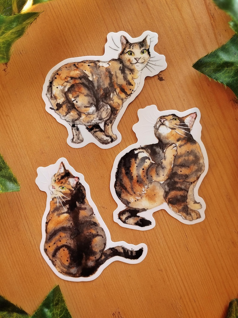 Peut inclure: Trois illustrations &agrave; l'aquarelle de chats tigr&eacute;s sur fond blanc. Les chats sont dans des poses diff&eacute;rentes, l'un est assis, l'autre debout et le troisi&egrave;me couch&eacute;. Les illustrations sont de style r&eacute;aliste et pr&eacute;sentent des marques d&eacute;taill&eacute;es.