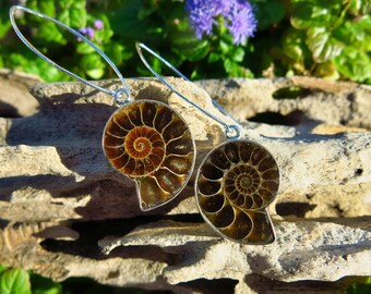 Long Ammonite Statement Earrings, 925 Silver Earrings, Hallmarked, Genuine Ammonite w Ammolite Fossils, Over-Sized Gemstone Unique Earrings