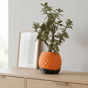 Op de afbeelding: Een jadeplant met dikke, ronde groene bladeren en houtachtige stengels in een feloranje, getextureerde plantenbak met een ruitvormig rasterpatroon. De plantenbak staat op een stevige, zwarte, ronde voet die contrasteert met de oranje kleur.